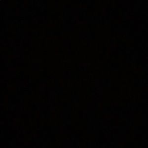 Meet your Posher, Ricky